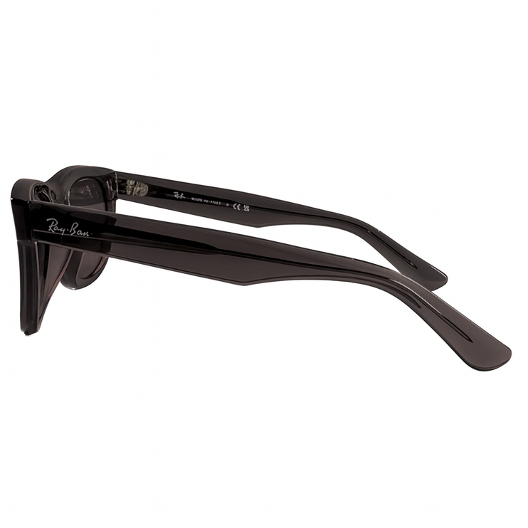 Ray Ban wayfarer reverse